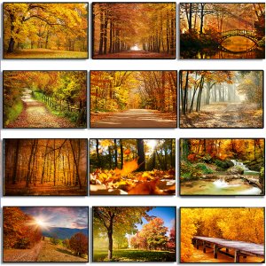 Autumn Decoration Canvas Poster Yellow Leaves Fall View Wall Art Print Bridge Painting Halloween Picture Living Room Home Decor
