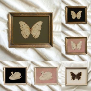 White Butterfly White Swan Animal Canvas Print Dark Moody Insect Antique Moth Wall Art Poster for Modern Living Room Home Decor