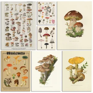 Vintage Plants Mushroom Antique Posters Minimalist Print Canvas Painting Wall Art for Living Room Modern Home Decor